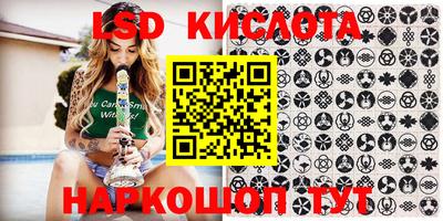 индика Будённовск