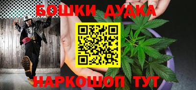 индика Будённовск