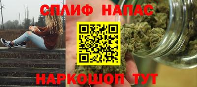 индика Будённовск