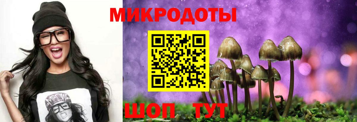 Псилоцибиновые грибы ЛСД  Псилоцибиновые грибы прущие грибы  Сухой Лог  Вход с VPN 