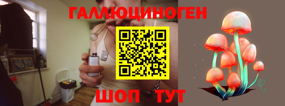 Псилоцибиновые грибы Magic Shrooms Сухой Лог